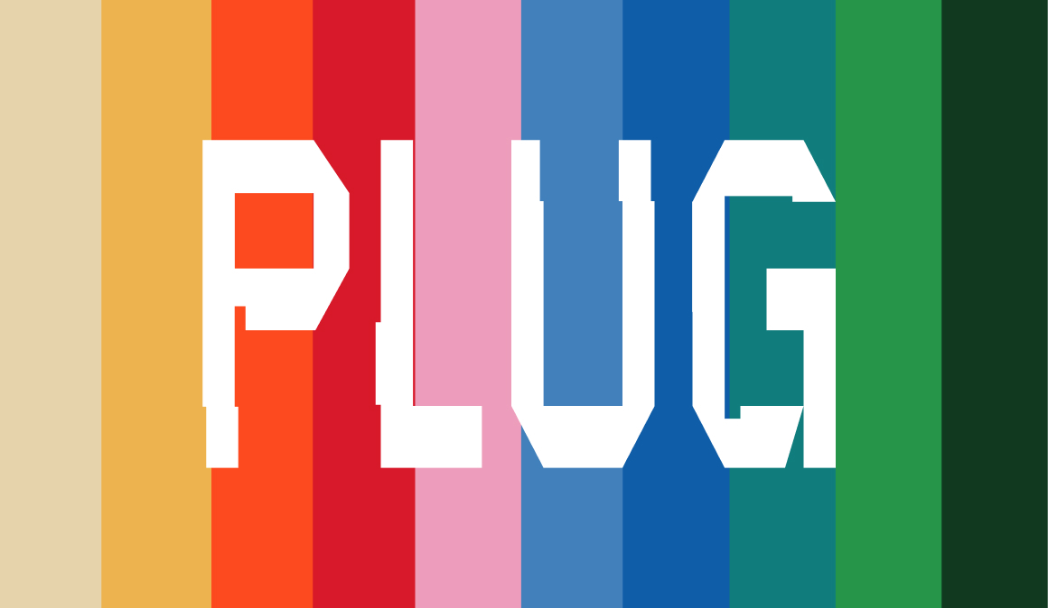 Plug